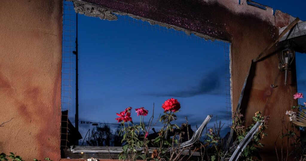 After the Eaton fire, ‘In the Gardens of Eaton’ finds unexpected beauty in loss