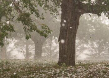A warmer world creates bigger and more damaging hailstones, study says