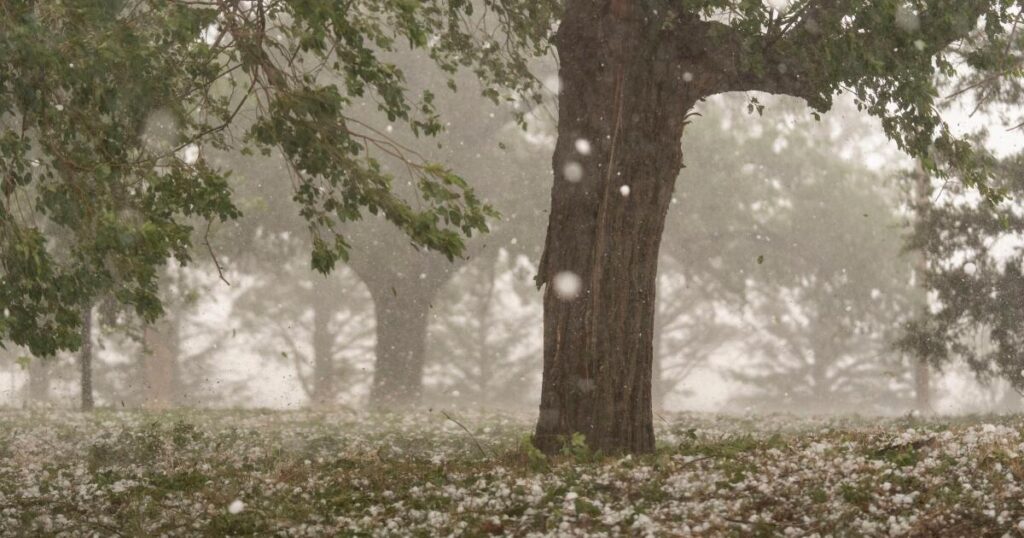 A warmer world creates bigger and more damaging hailstones, study says