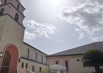 ICE releases a Texas nun intercepted walking to church dressed in her habit