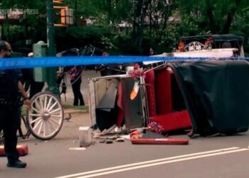New York mayor, other leaders push to end horse carriage industry after young Indian man’s death