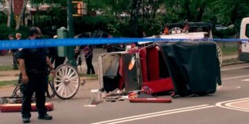 New York mayor, other leaders push to end horse carriage industry after young Indian man’s death