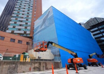 Artist suing FIFA over destruction of Dallas whale mural before World Cup