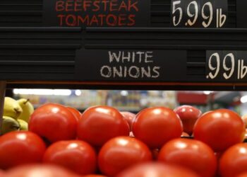 Extreme weather makes US tomatoes more expensive this summer