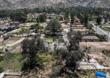 Overgrown lots in Altadena, Palisades pose fire risk. L.A. County is pushing to clear them