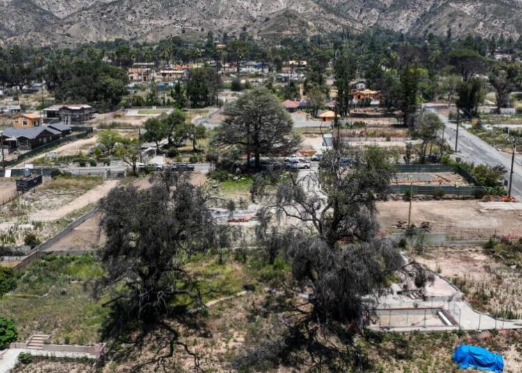 Overgrown lots in Altadena, Palisades pose fire risk. L.A. County is pushing to clear them