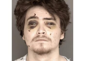 Canadian flew to California, posed as Amazon driver to try to kill woman he met in online gaming