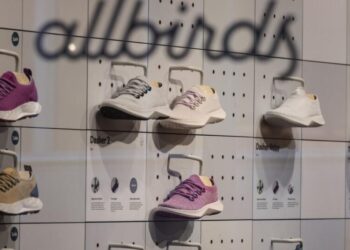 Allbirds stock takes flight after announcing new CEO and name change