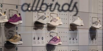 Allbirds stock takes flight after announcing new CEO and name change