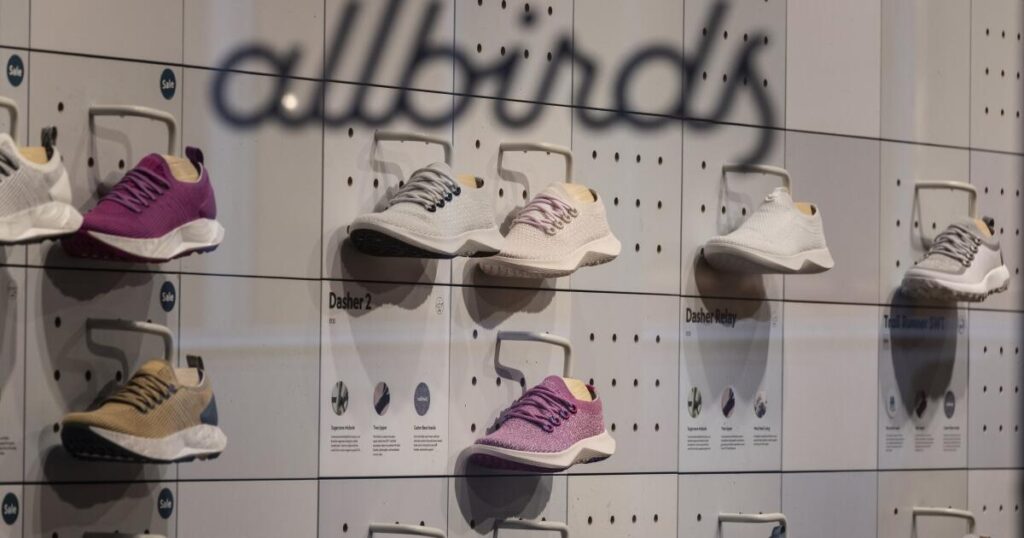 Allbirds stock takes flight after announcing new CEO and name change