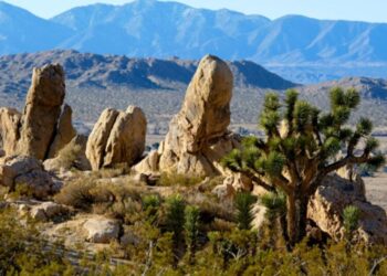 Now you can visit dozens of state historic parks for free through 2026. Here’s how