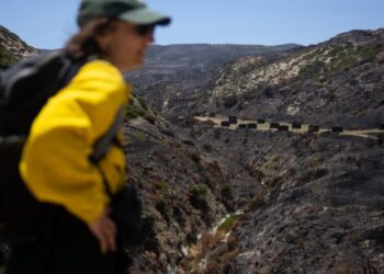 Wildfire almost destroyed a pristine California island. Inside the fight to save this ecological oasis
