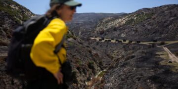 Wildfire almost destroyed a pristine California island. Inside the fight to save this ecological oasis