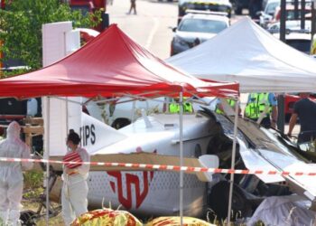 Skydiving plane crashes in northeastern France, killing all 11 people on board