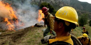 The Forest Service is too important to be a political pawn