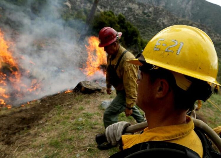 The Forest Service is too important to be a political pawn