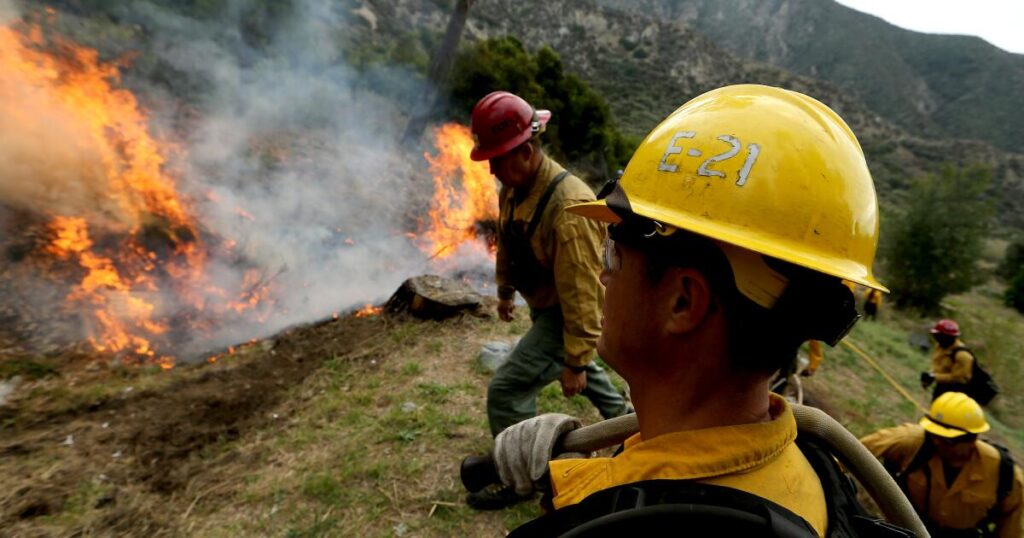 The Forest Service is too important to be a political pawn