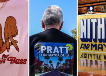 L.A. divided: Bass, Pratt and Raman dominated in different parts of the city
