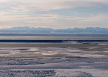 Limited interest in latest oil and gas lease sale for Alaska’s Arctic National Wildlife Refuge