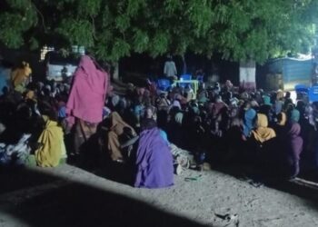 The Nigerian army frees 360 abducted people in northeastern Borno state