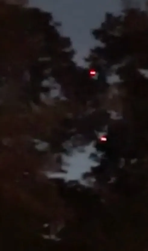 Two glowing red orbs visible through dark trees against a twilight sky.