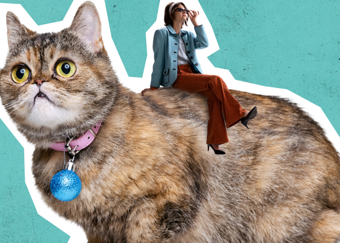The Truth About Today’s Crazy Cat Ladies, and Why You Might Owe Your Local Cat Lover an Apology