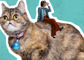 The Truth About Today’s Crazy Cat Ladies, and Why You Might Owe Your Local Cat Lover an Apology