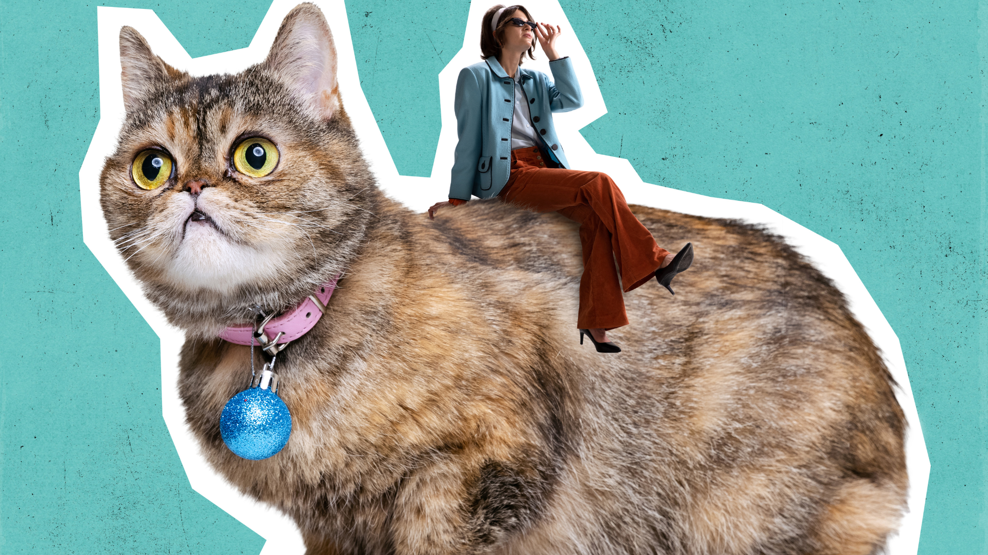 The Truth About Today’s Crazy Cat Ladies, and Why You Might Owe Your Local Cat Lover an Apology