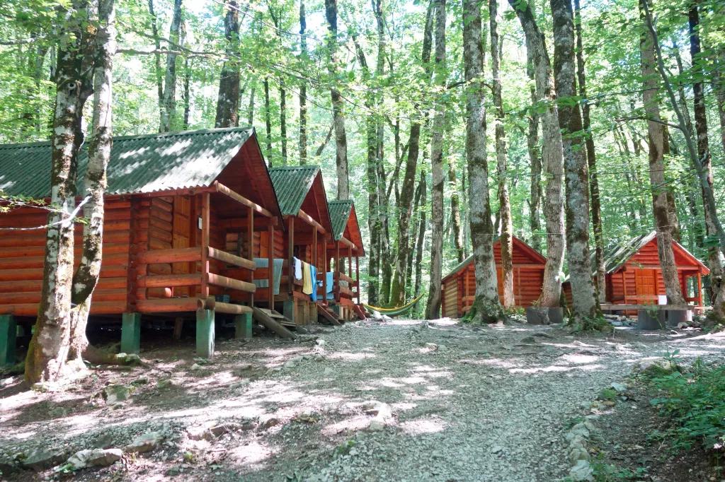 Wooden cabins with green roofs in a green forest.