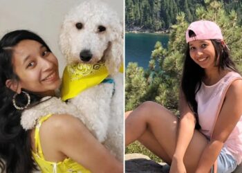 Woman survives car crash — then gets mowed down trying to save dog that ran onto highway