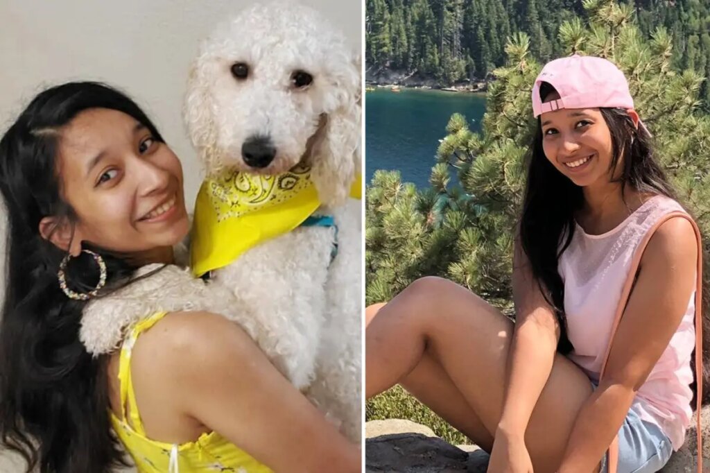 Woman survives car crash — then gets mowed down trying to save dog that ran onto highway