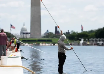 Trump is the scum on the Reflecting Pool — but this Republican poisoned the water