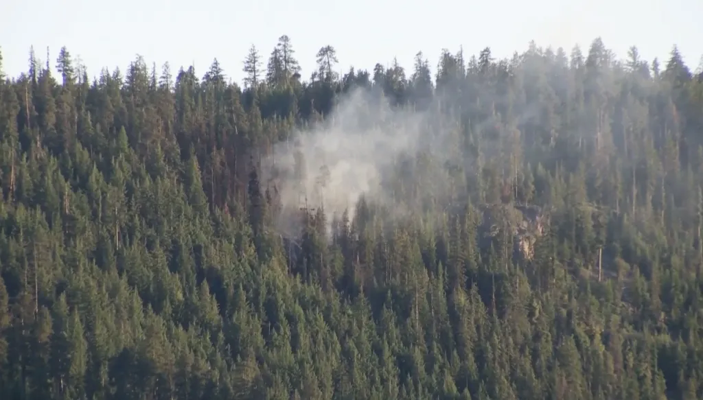 Smoke rising from a forest fire in a dense, green forest.