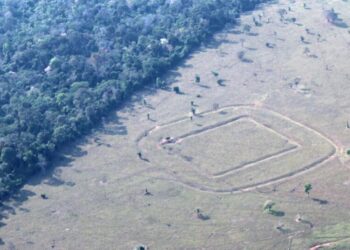 Archaeologists Find Hundreds of Ancient Glyphs in the Amazon