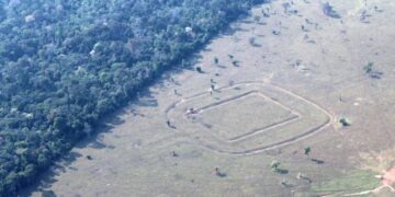 Archaeologists Find Hundreds of Ancient Glyphs in the Amazon