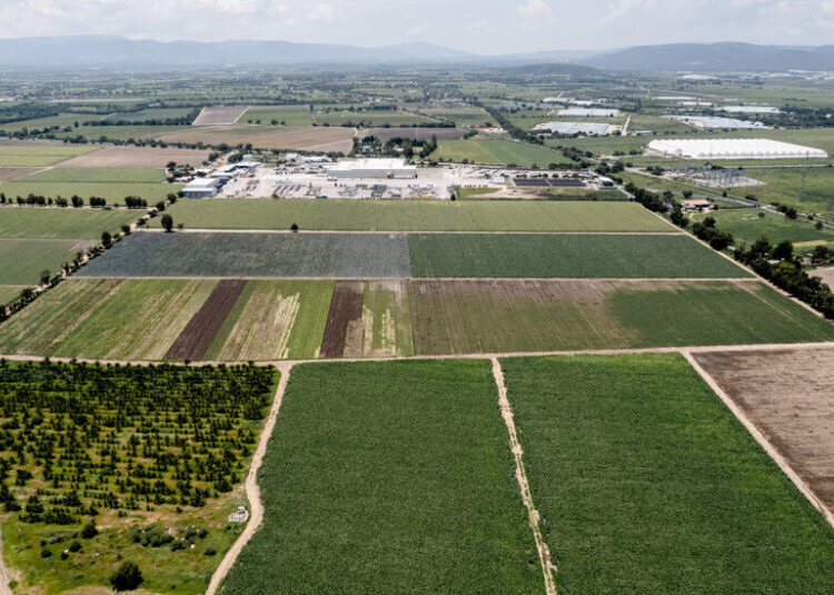 Did the Cyclospora Outbreak Start Here? ‘They’re Always Going to Blame Us’
