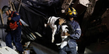 In Venezuela’s Rubble, a Search for the Family Pets