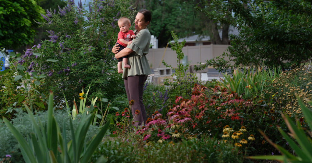 Even in Utah, Land of ‘Big Love,’ Families Are Getting Smaller