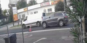 Videos Shed Light on Pursuit Before ICE Killing in Houston