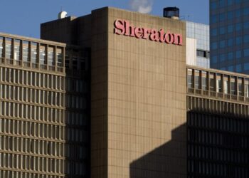 Pilot Was Bitten by Bat After Swarm Invaded Hotel Room, Lawsuit Says
