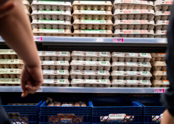 Egg Producers to Pay $3.3 Million to Settle Federal Price-Fixing Lawsuit