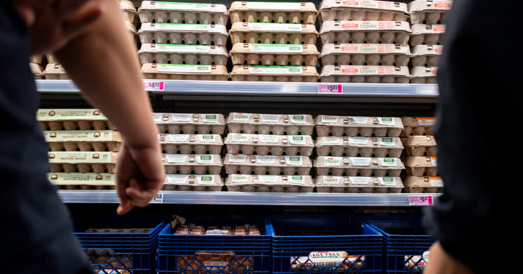 Egg Producers to Pay $3.3 Million to Settle Federal Price-Fixing Lawsuit