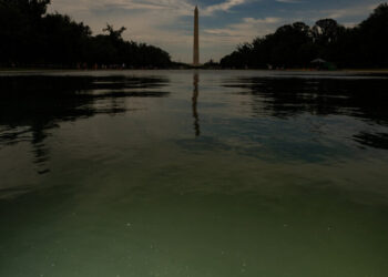 E Pluribus Algae: Why Green Pond Scum Is as American as Red, White and Blue