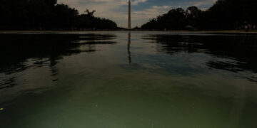 E Pluribus Algae: Why Green Pond Scum Is as American as Red, White and Blue
