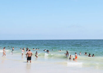 Swimmer Is Injured at Jones Beach in Possible Shark Attack