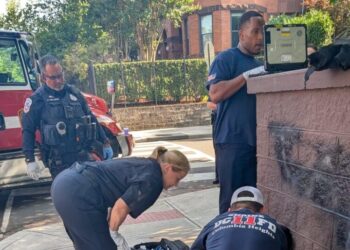 Calls for Aid in Washington Climb 20 Percent as Heat Suffocates City