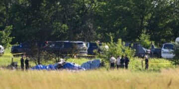 No Engine Problems in Skydiving Plane Crash That Killed 12, N.T.S.B. Says