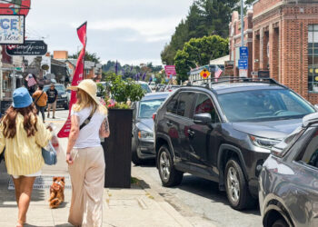 This California Town Banned Fireworks. Then Came the Dogs.