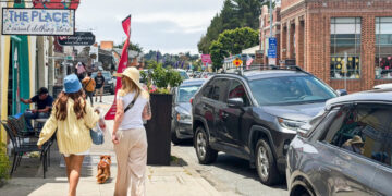 This California Town Banned Fireworks. Then Came the Dogs.