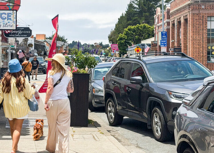 This California Town Banned Fireworks. Then Came the Dogs.